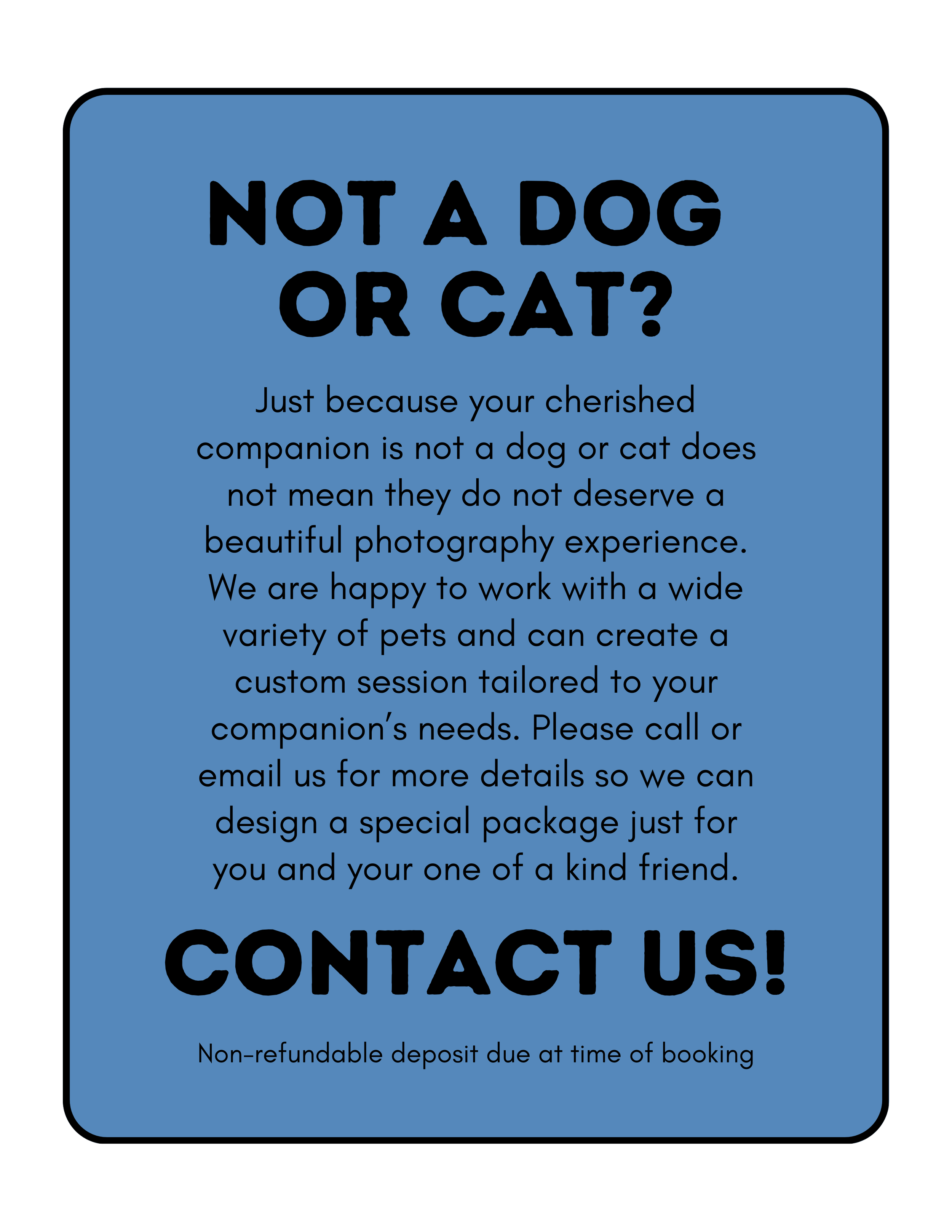 Sign encouraging customers to book a pet photography session, stating that pets like dogs and cats are also welcomed for special photography experiences, with contact details and booking information.
