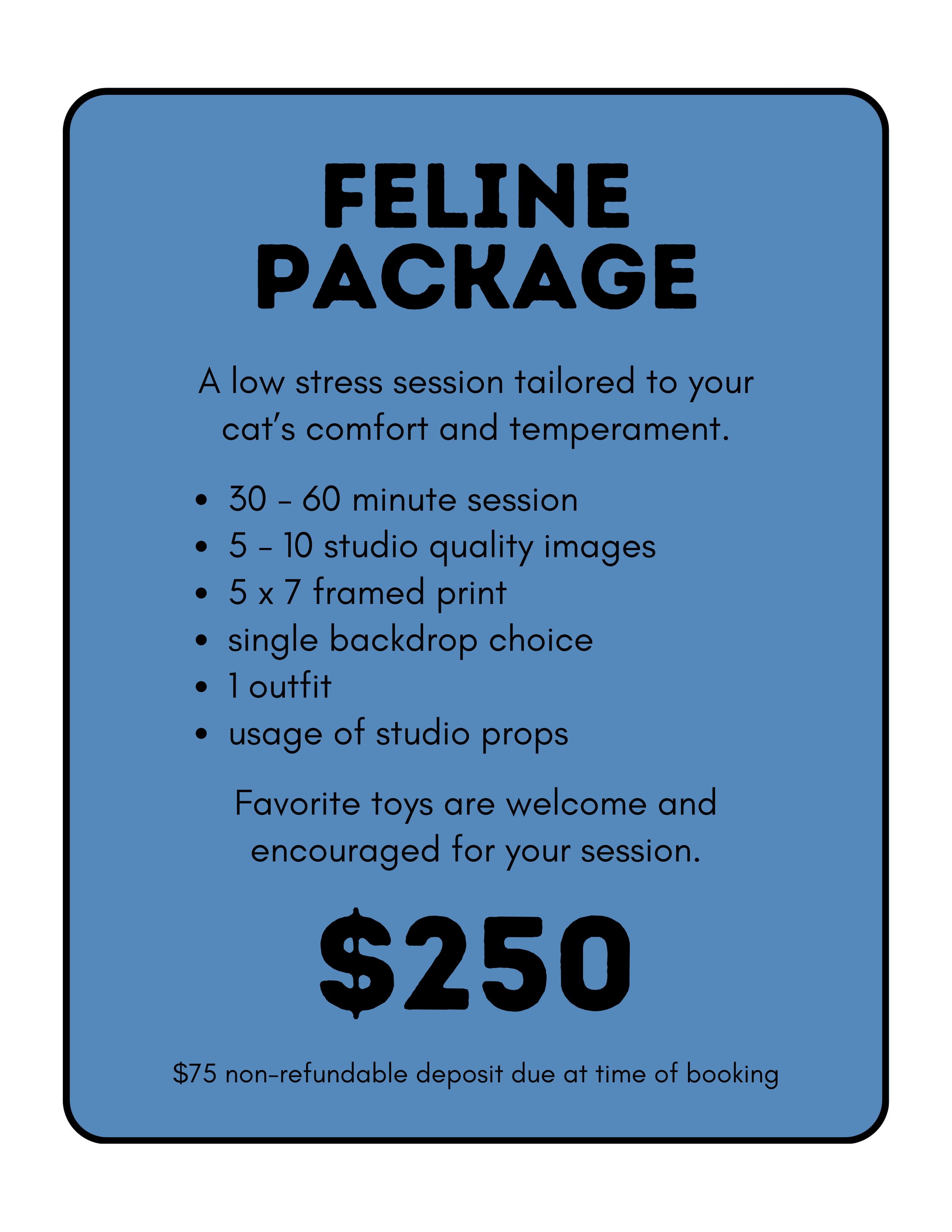 Information about a feline photography package, including details about the session, images, framing, backdrop, and price.