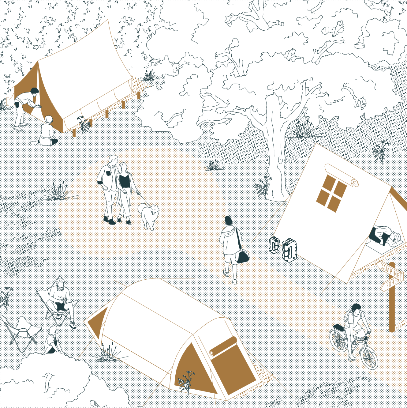 CAMPING AREA