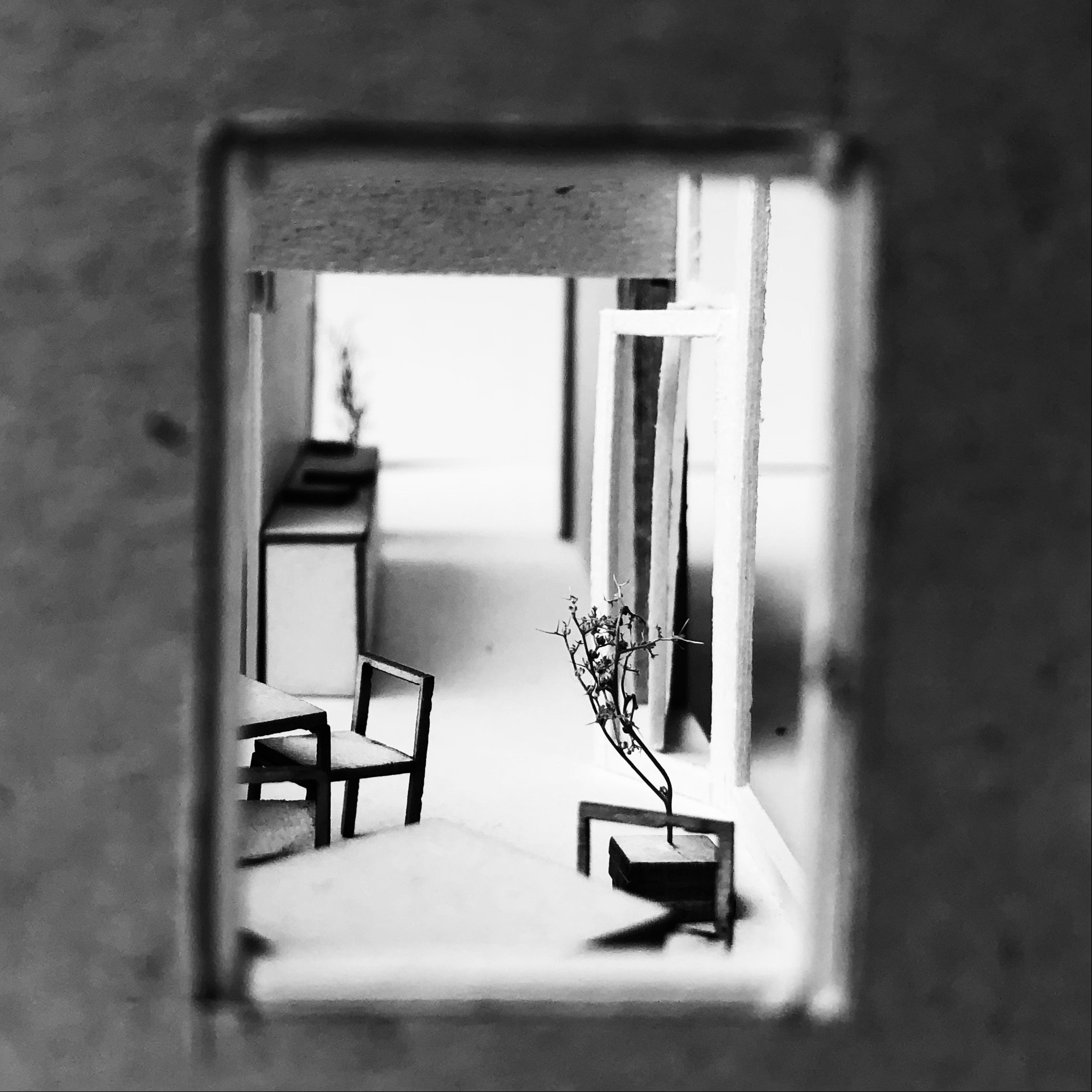IMG_6717.jpeg