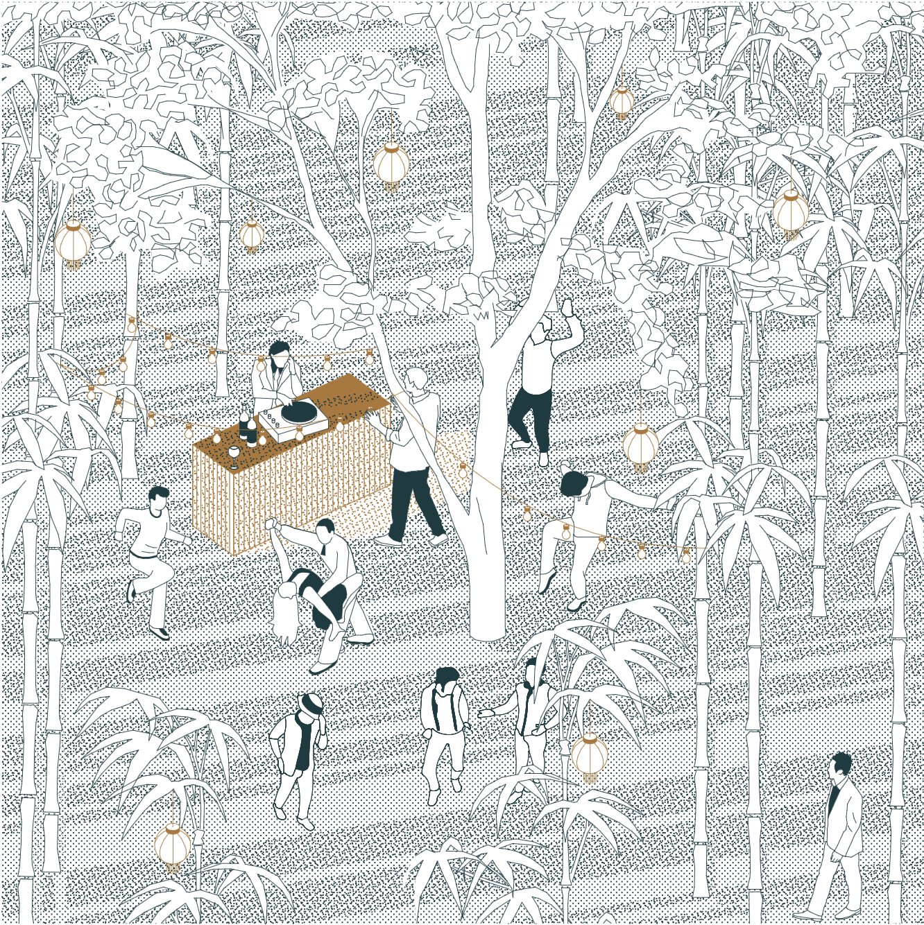 BAMBOO AREA