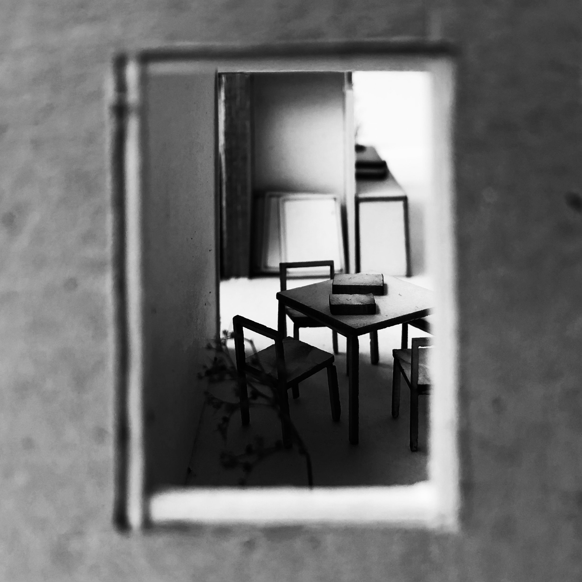 IMG_6715.jpeg