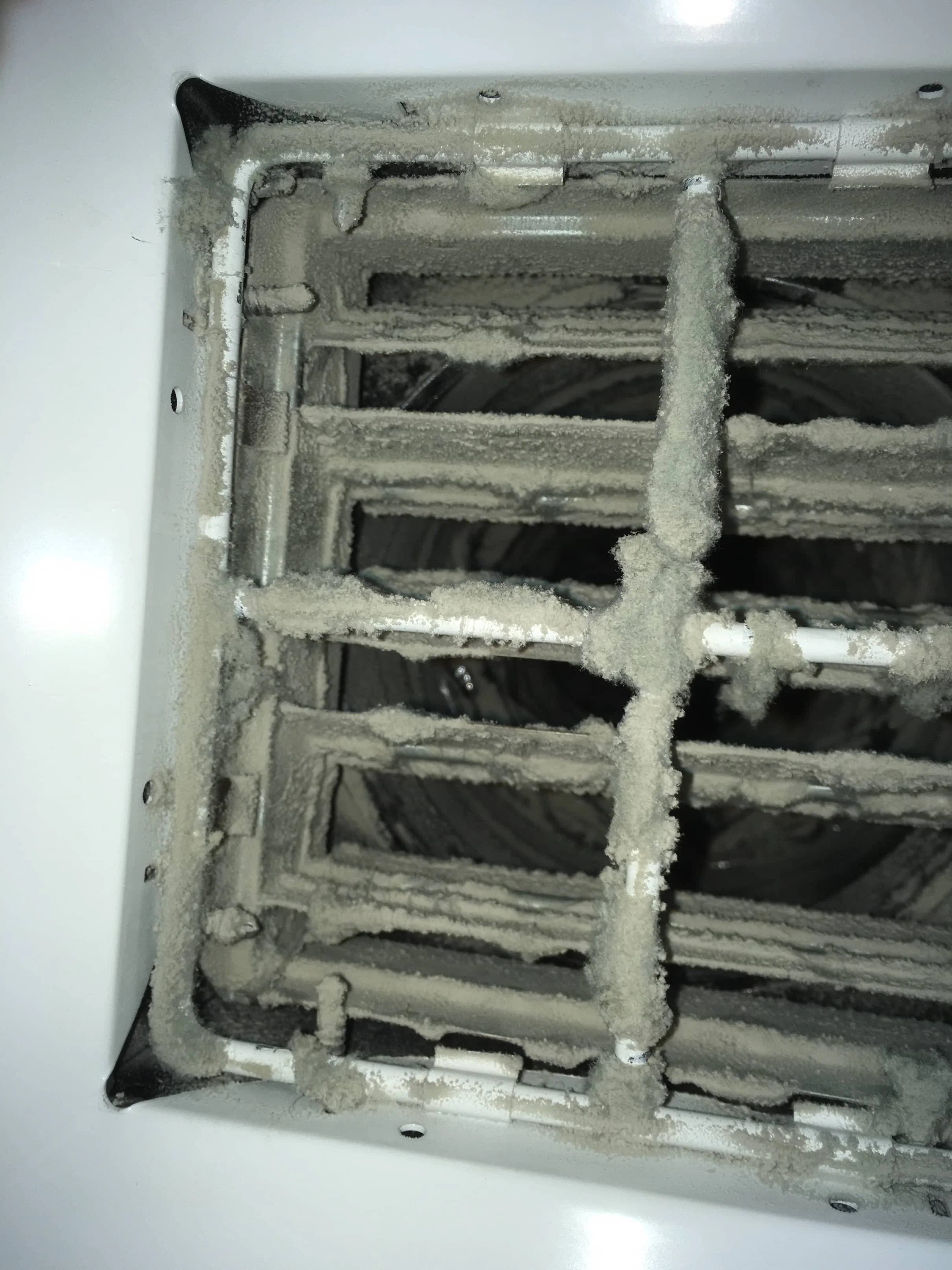 Lint and debris buildup on a dryer vent lint trap and surrounding area.
