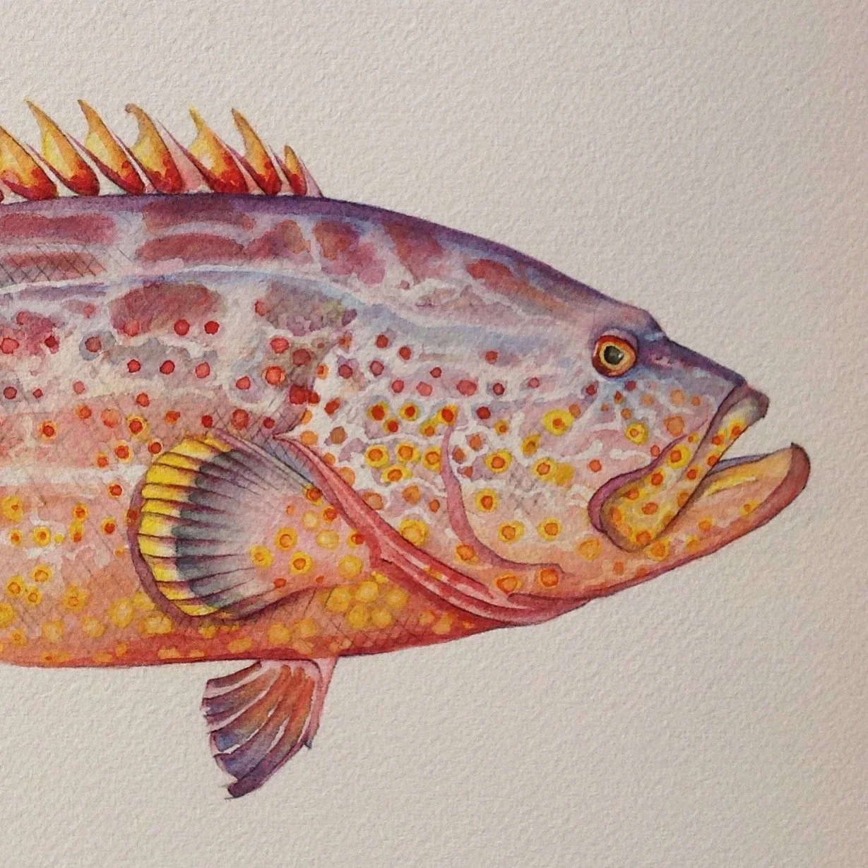 An image of graphic design