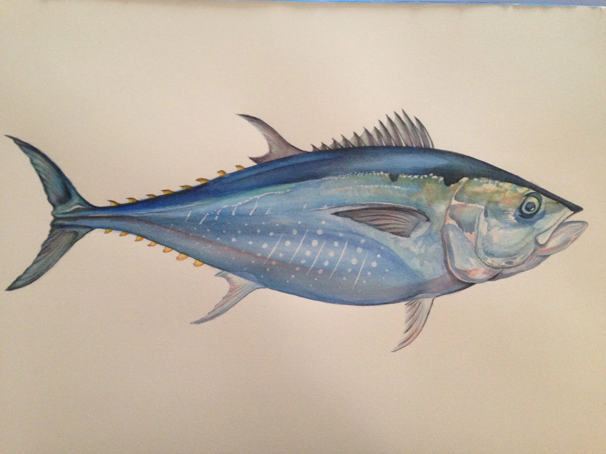 Image of watercolors