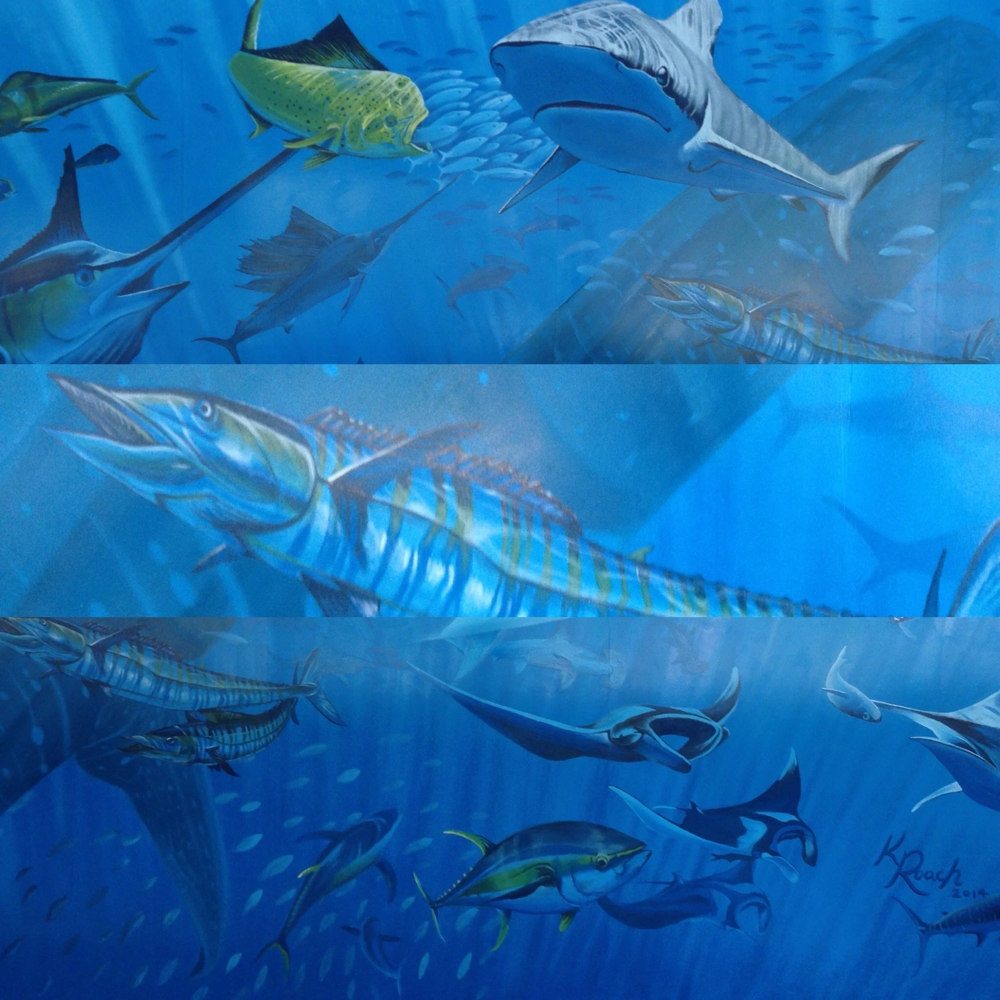 An image of CaptDaddys