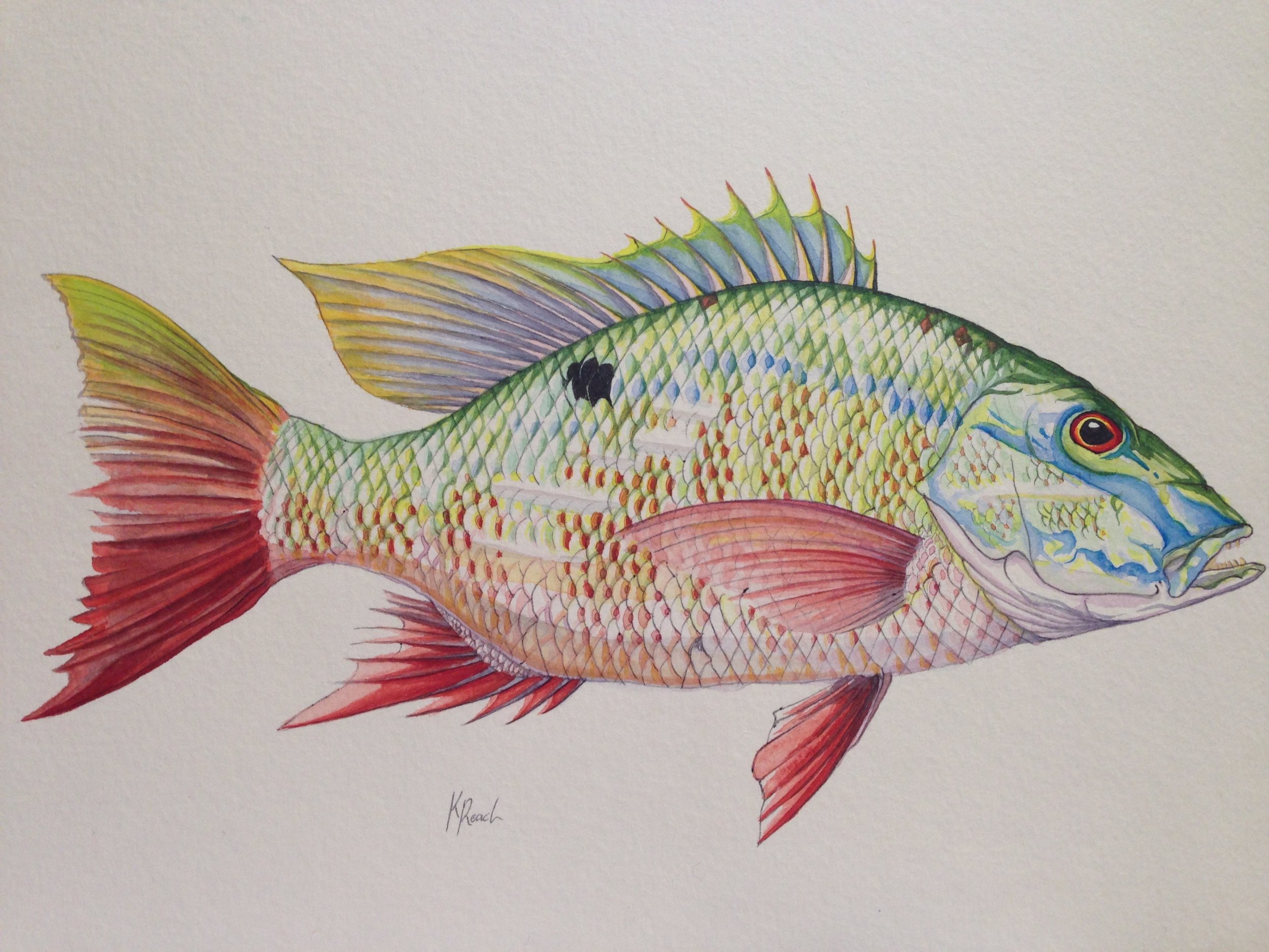 Image of watercolors