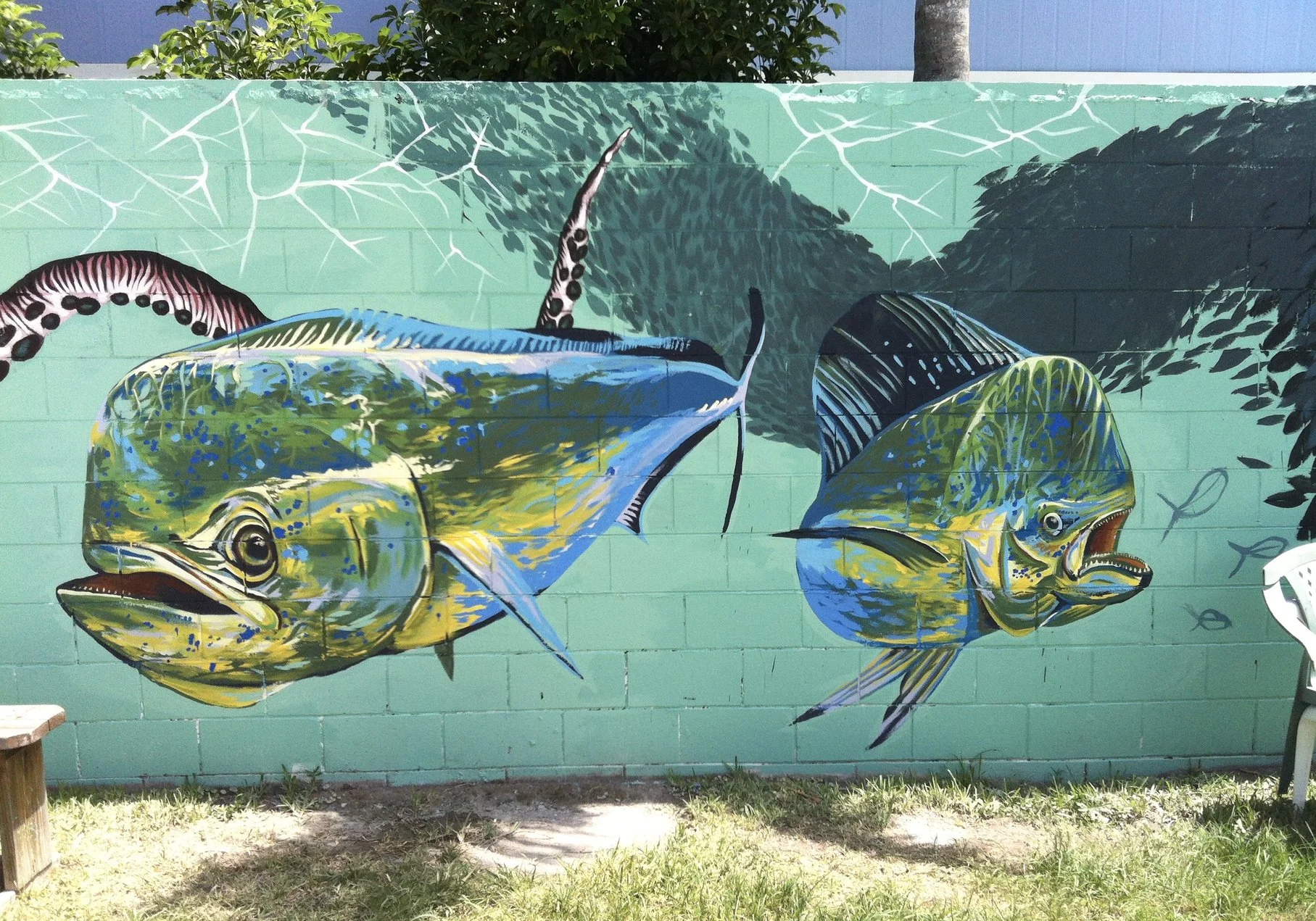 An image of Boondocks