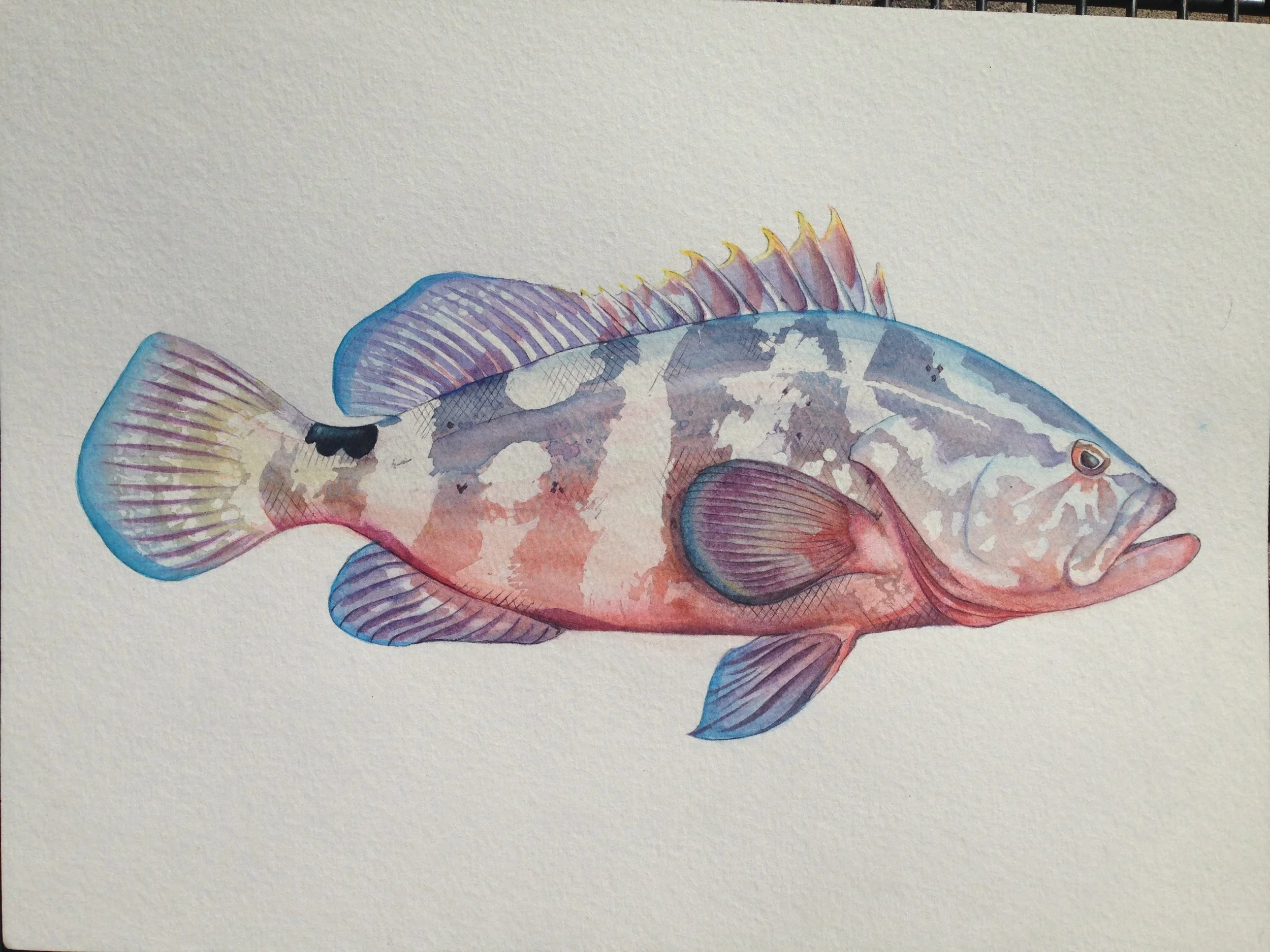 Image of watercolors