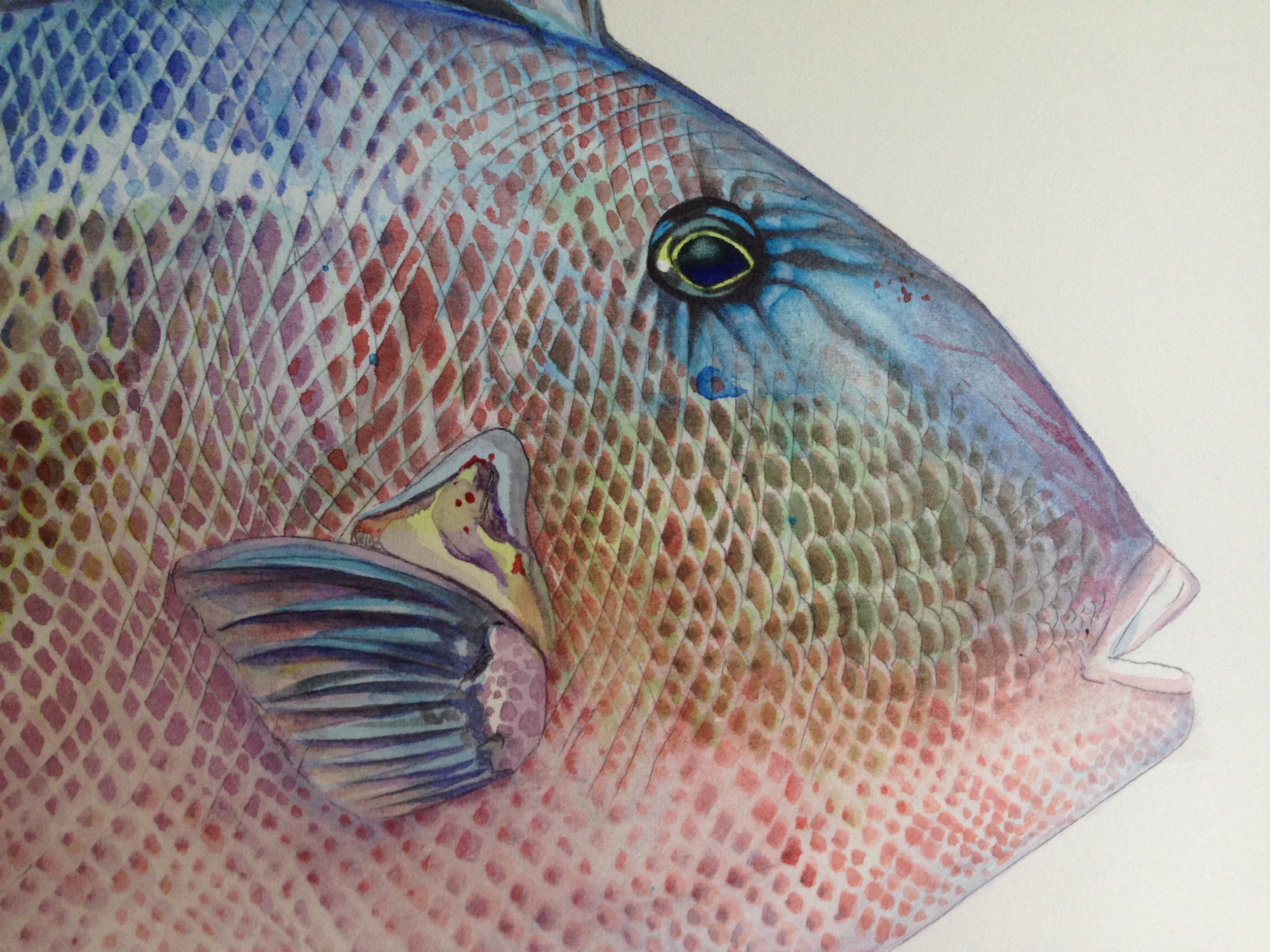 Image of watercolors