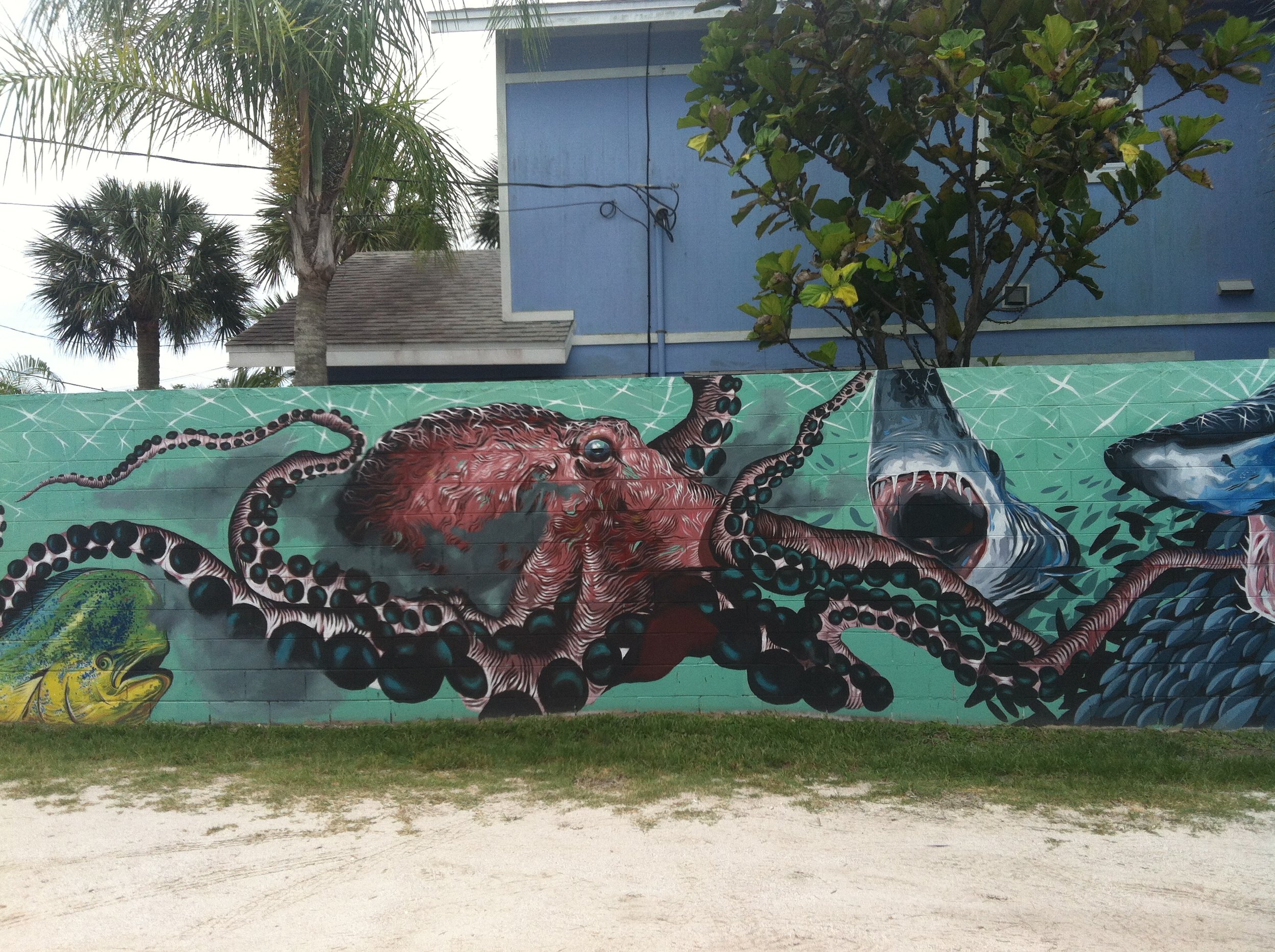 An image of Boondocks