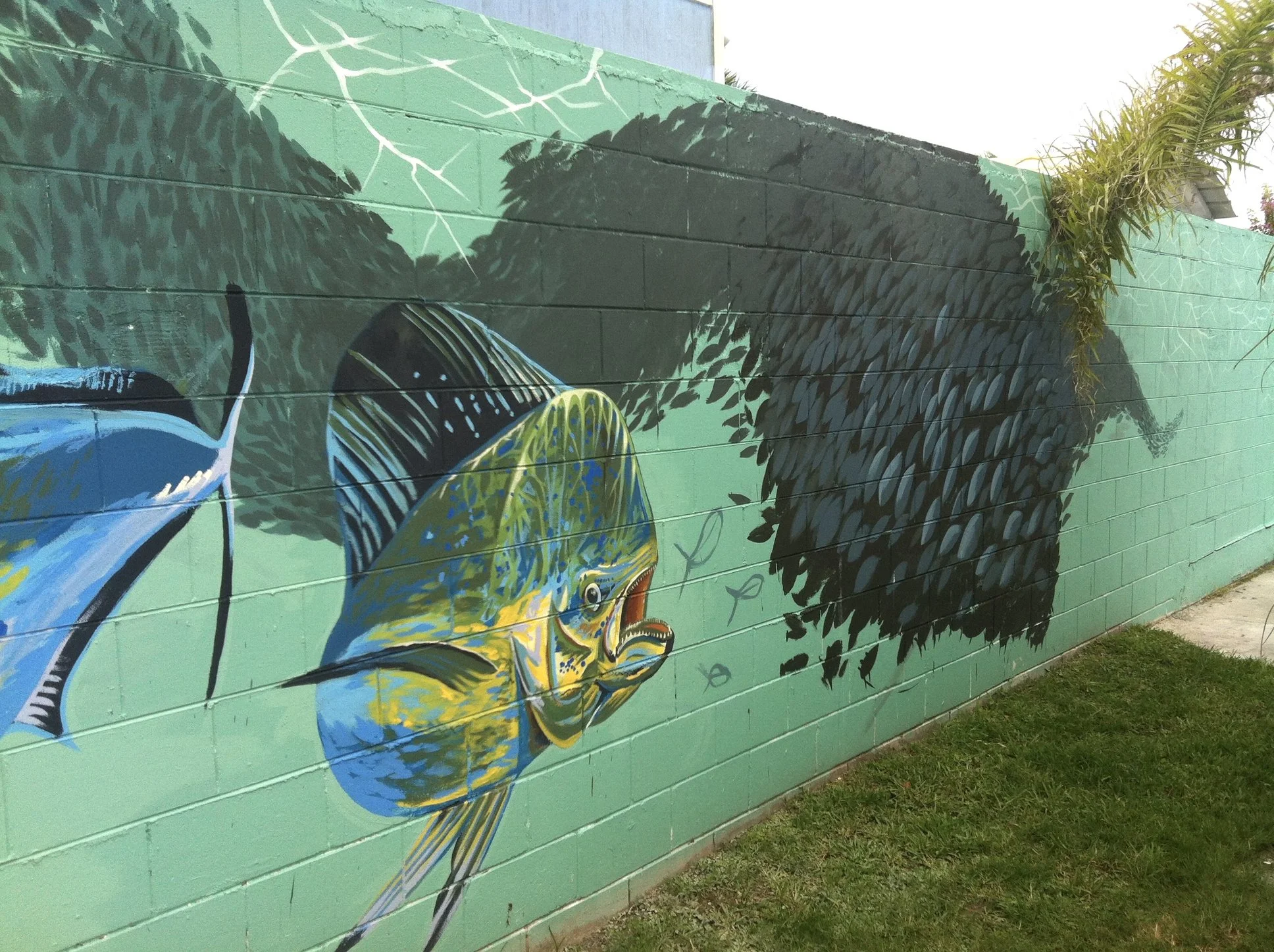 An image of Boondocks