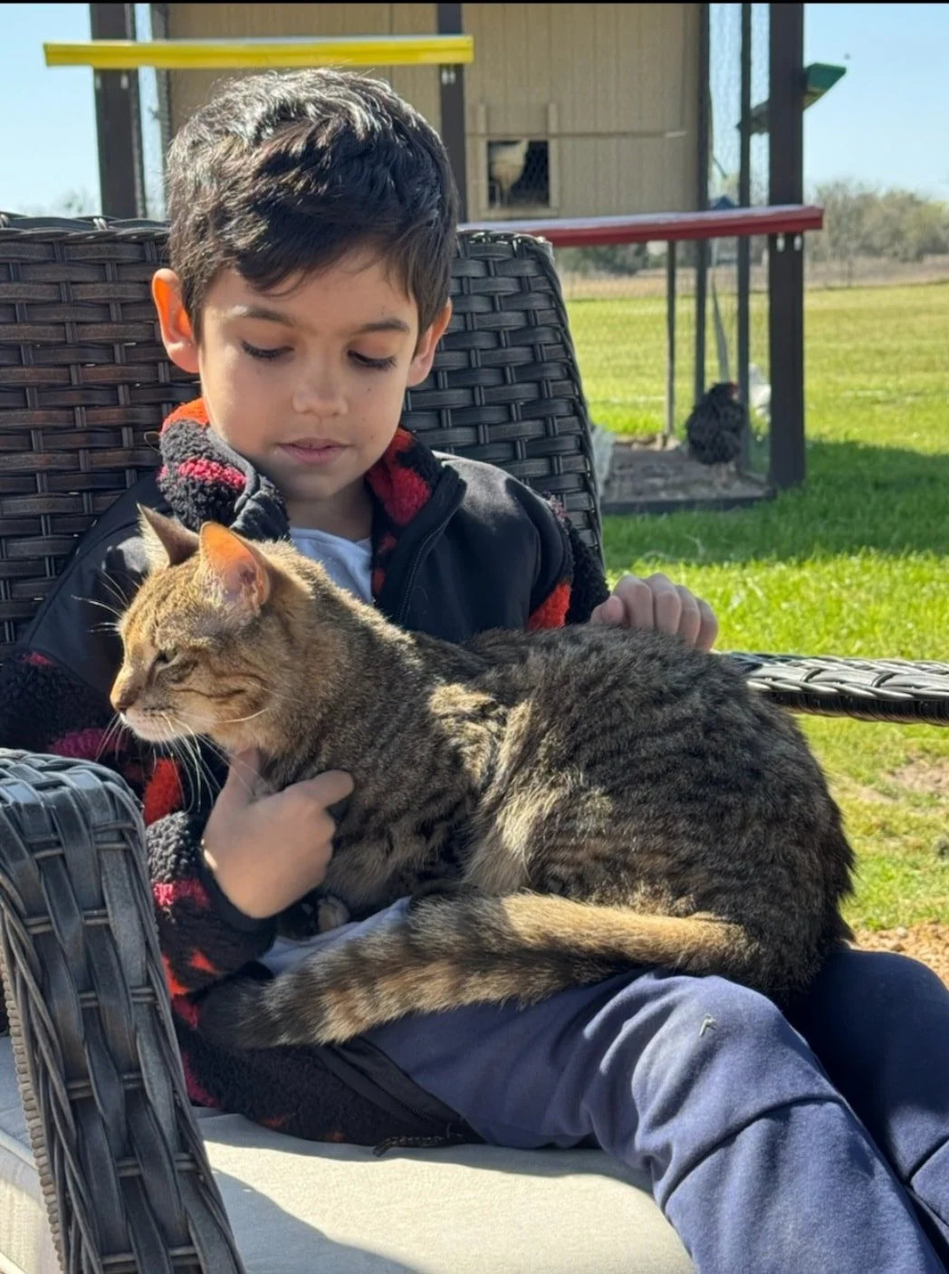 A young boy sitting on outdoor furniture gently holding a tabby cat on his lap, with a chicken coop and hens in the background on a sunny day.