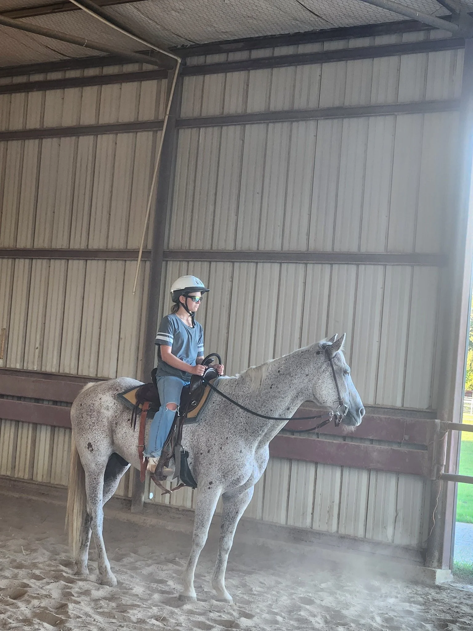 A person wearing a helmet and sunglasses riding a gray horse inside an indoor riding arena with wooden walls and sandy ground.
