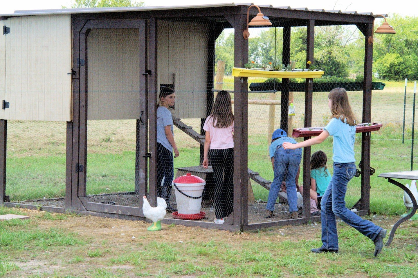 Children inside a chicken coop with a hen figurine outside, some children are standing and others sitting, with a grassy yard and trees in the background.