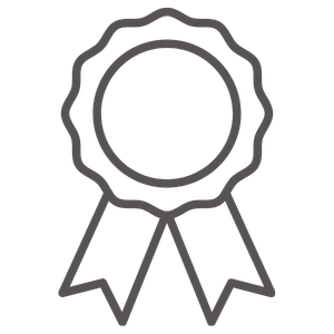 An illustration of a medal with a ribbon, representing an award or achievement.