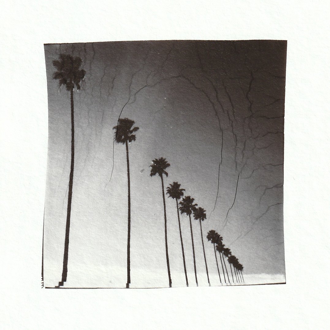 California Dreamin'