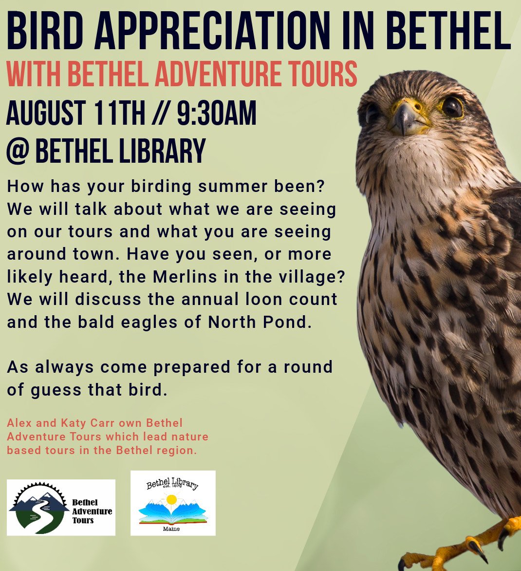 Bird Appreciation in Bethel with Bethel Adventure Tours