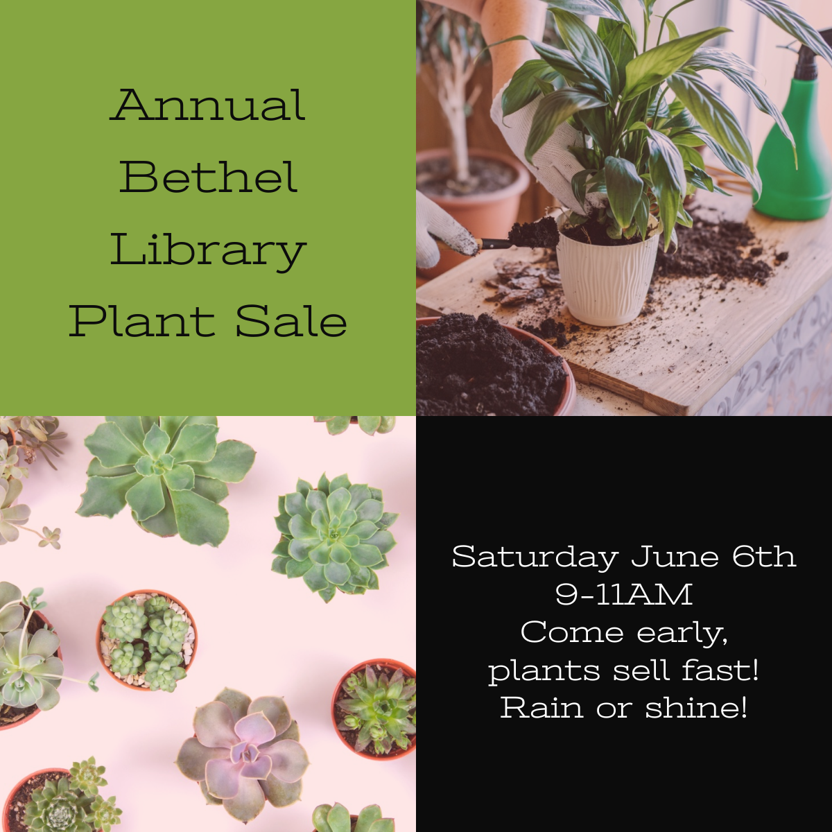 Bethel Library Annual Plant Sale
