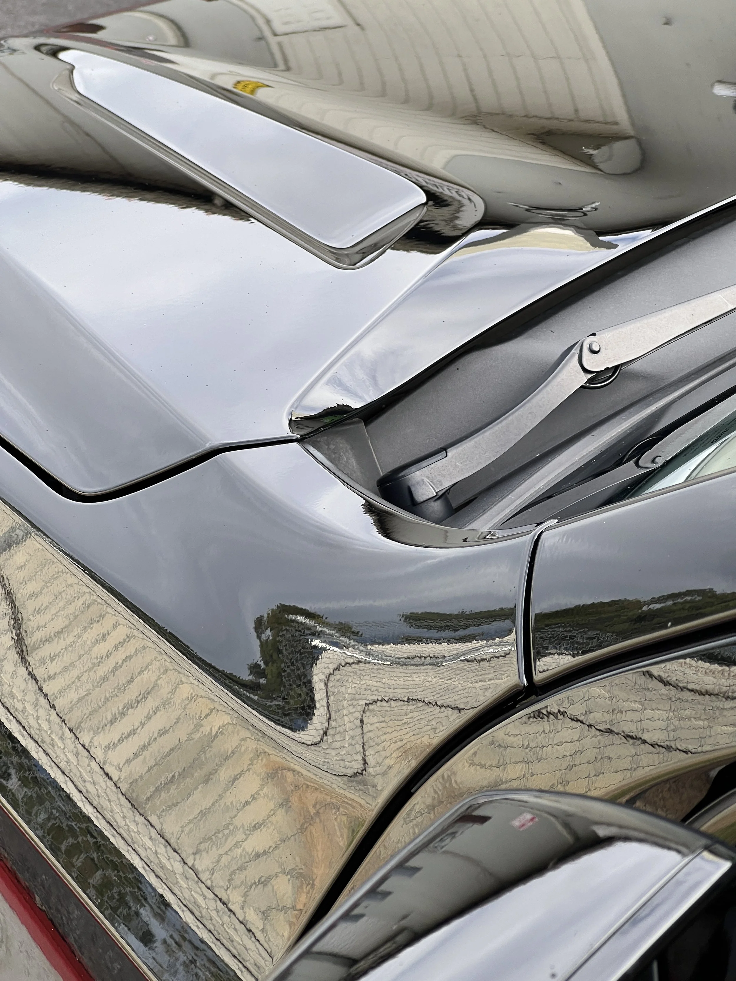 Photo Nov 25 2024, 2 14 18 PM.jpg