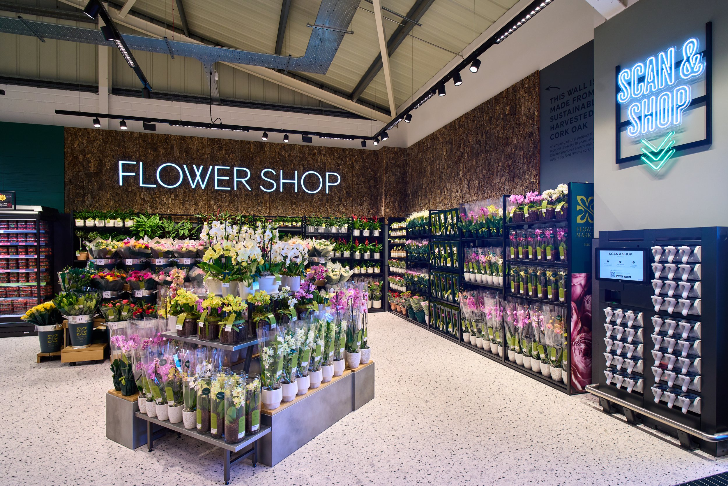 Martlesham Heath-1.jpg