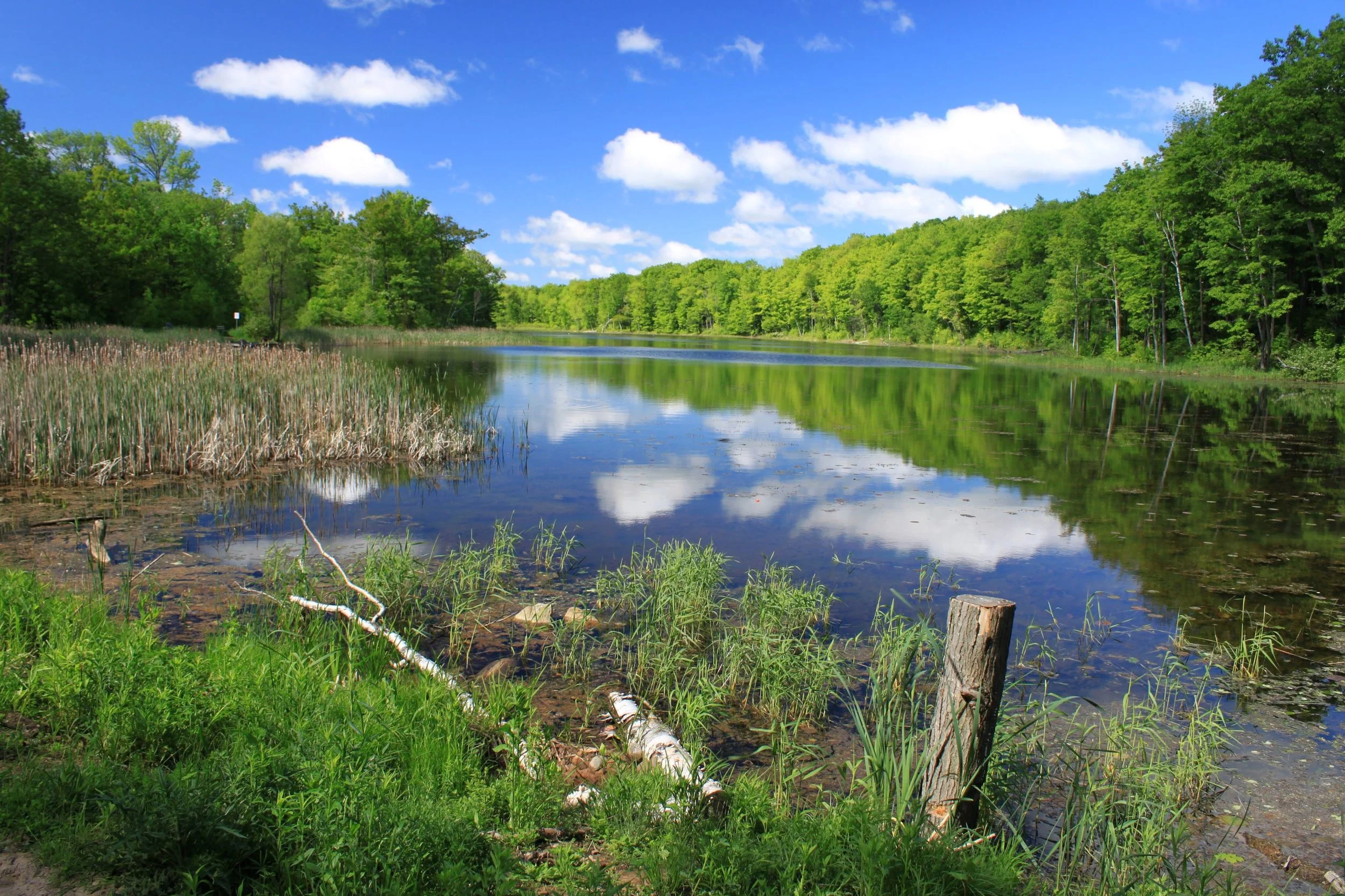 The Best Hikes Just Outside of Toronto: A Guide to Ontario’s Most Beautiful Trails