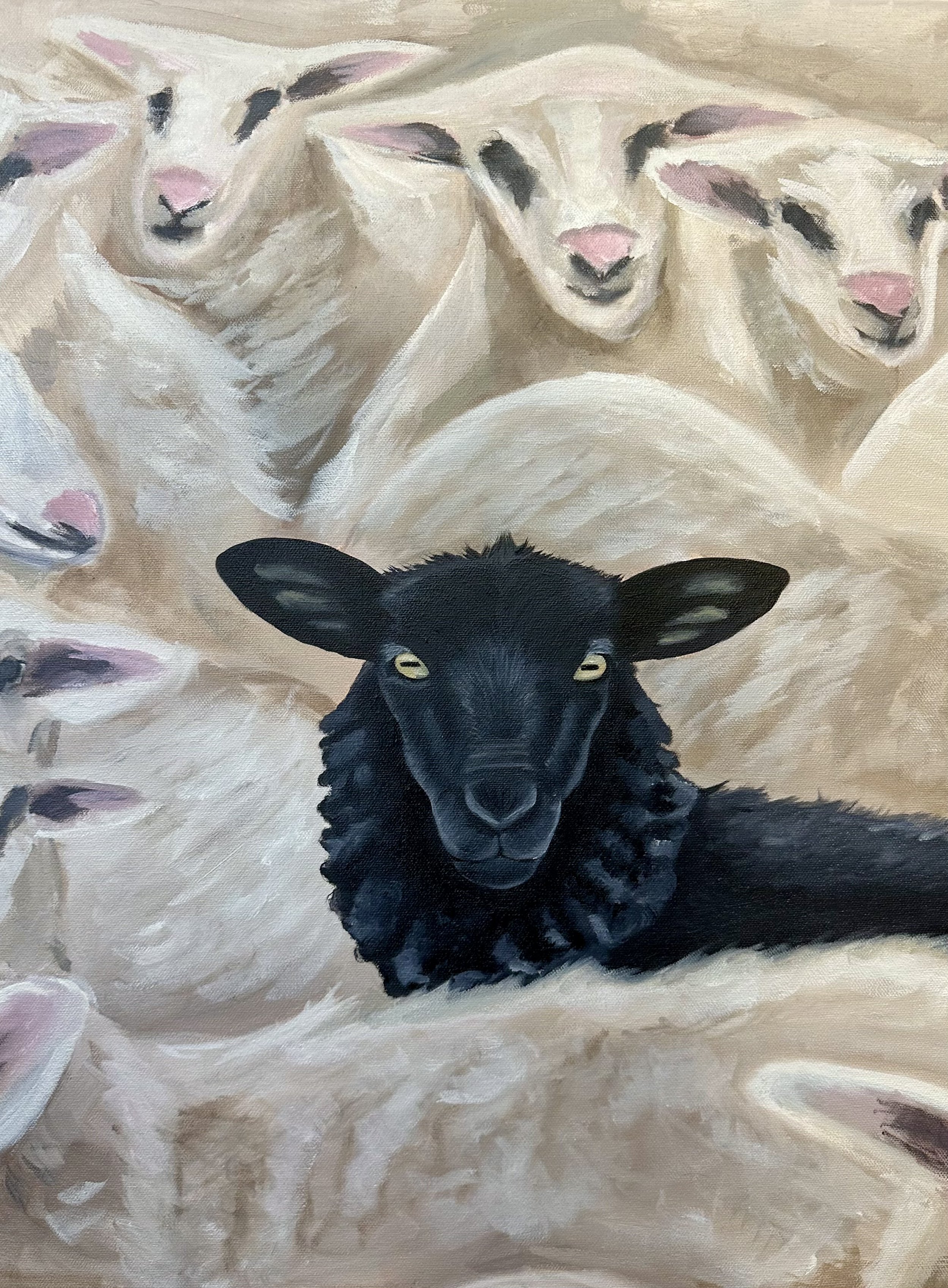 Black Sheep Print