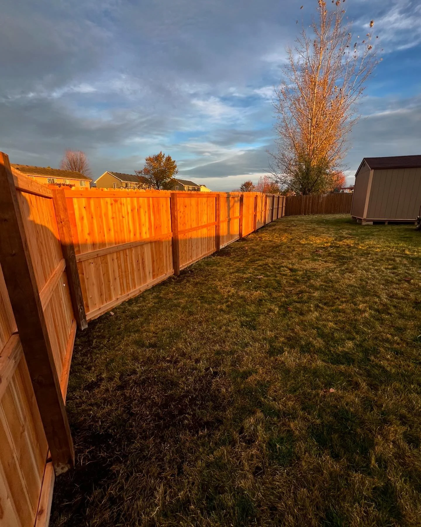 The warmer weather this fall is allowing for fence projects to continue later in the season! Check out this Cedar Privacy Fence we wrapped up this weekend!