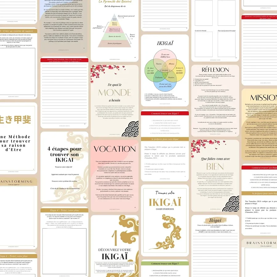 Trouver_son_ikigai_exercices_pdf_05.webp