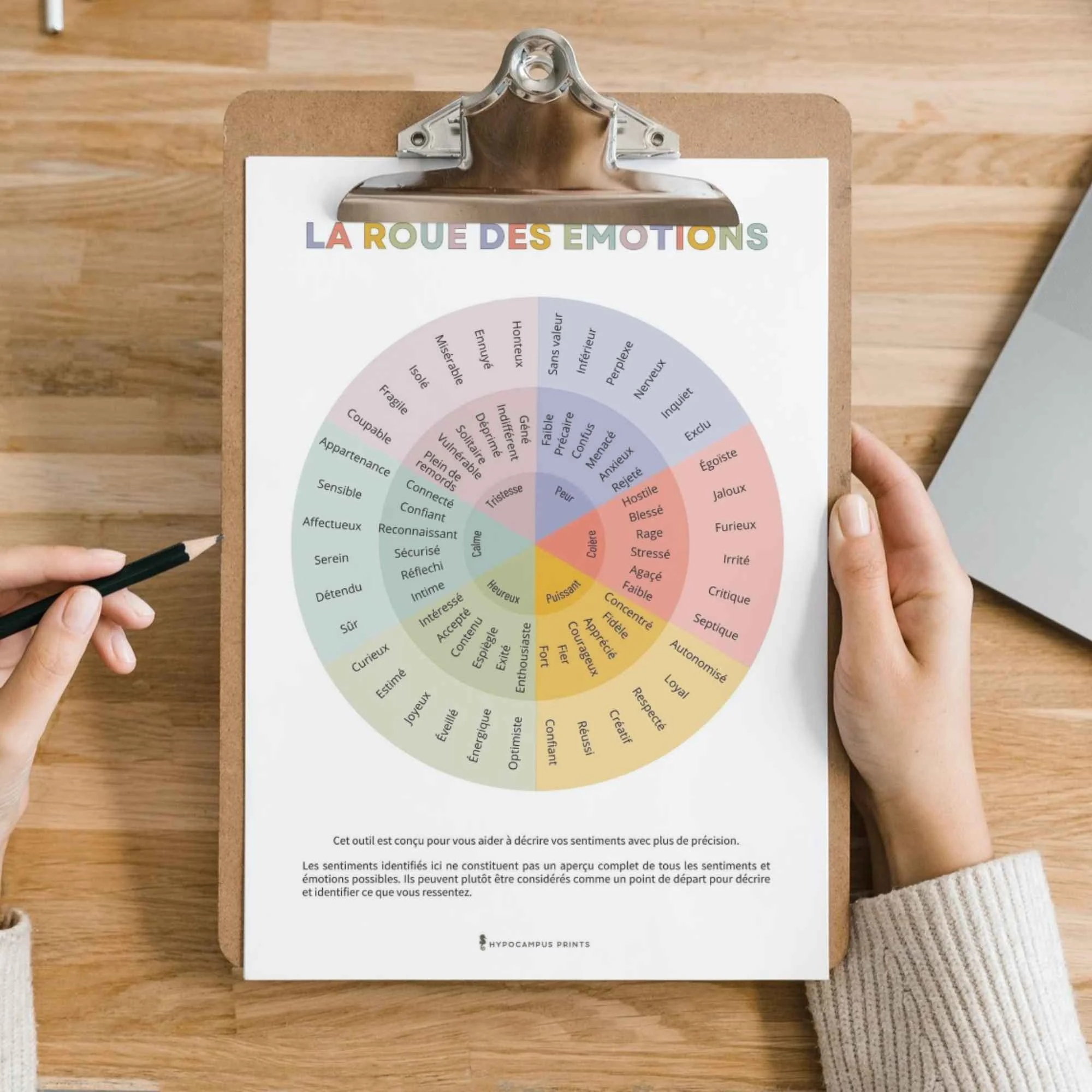 cahier-d-exercices-la-roue-des-emotions10.jpg.jpg