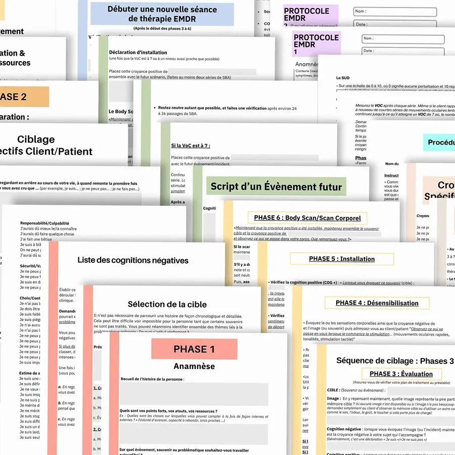 Outils_psy_trauma_EMDR_pdf_03.webp