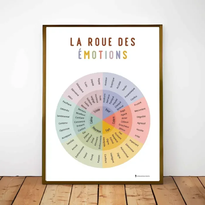 Une affiche intitulée 'La roue des émotions' présente un diagramme circulaire avec différentes émotions et sentiments associés à chaque couleur, organisé en segments selon l'intensité et la nature des émotions.