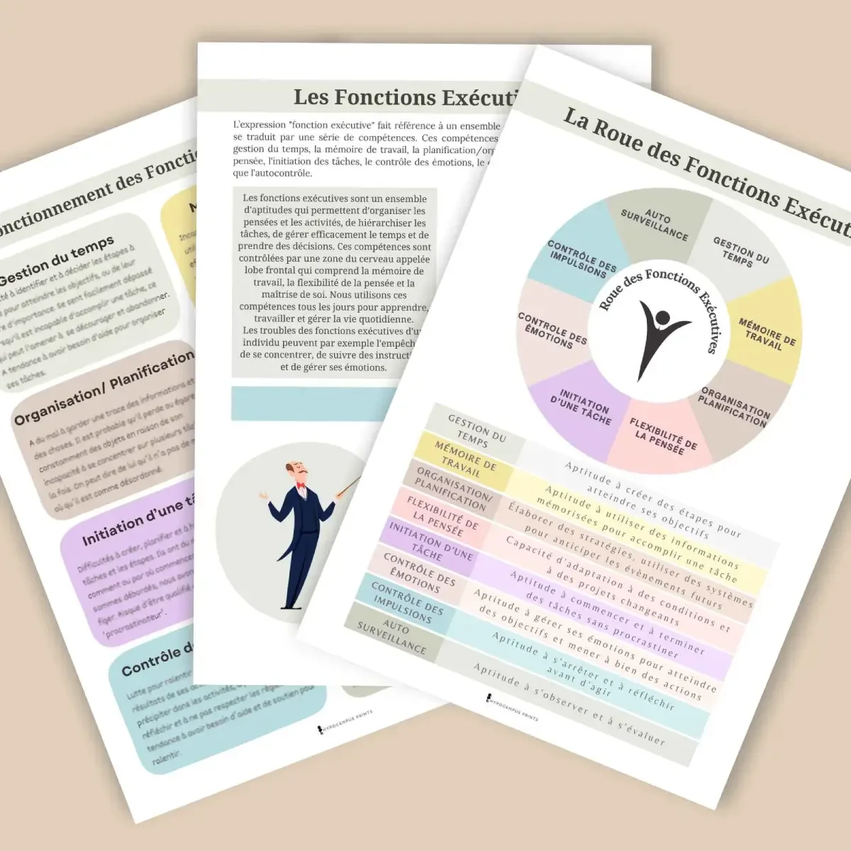 Roue des fonctions exécutives -2.webp