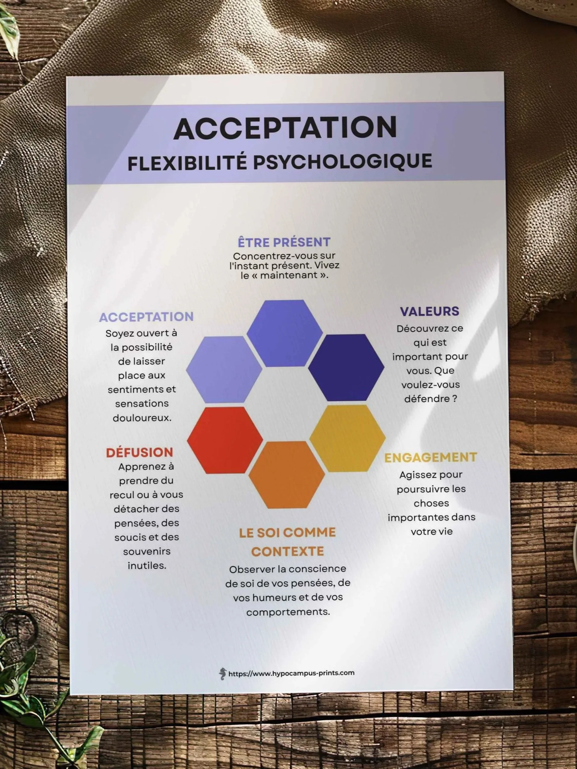 ACT - Fiche acceptation flexibilité psychologique