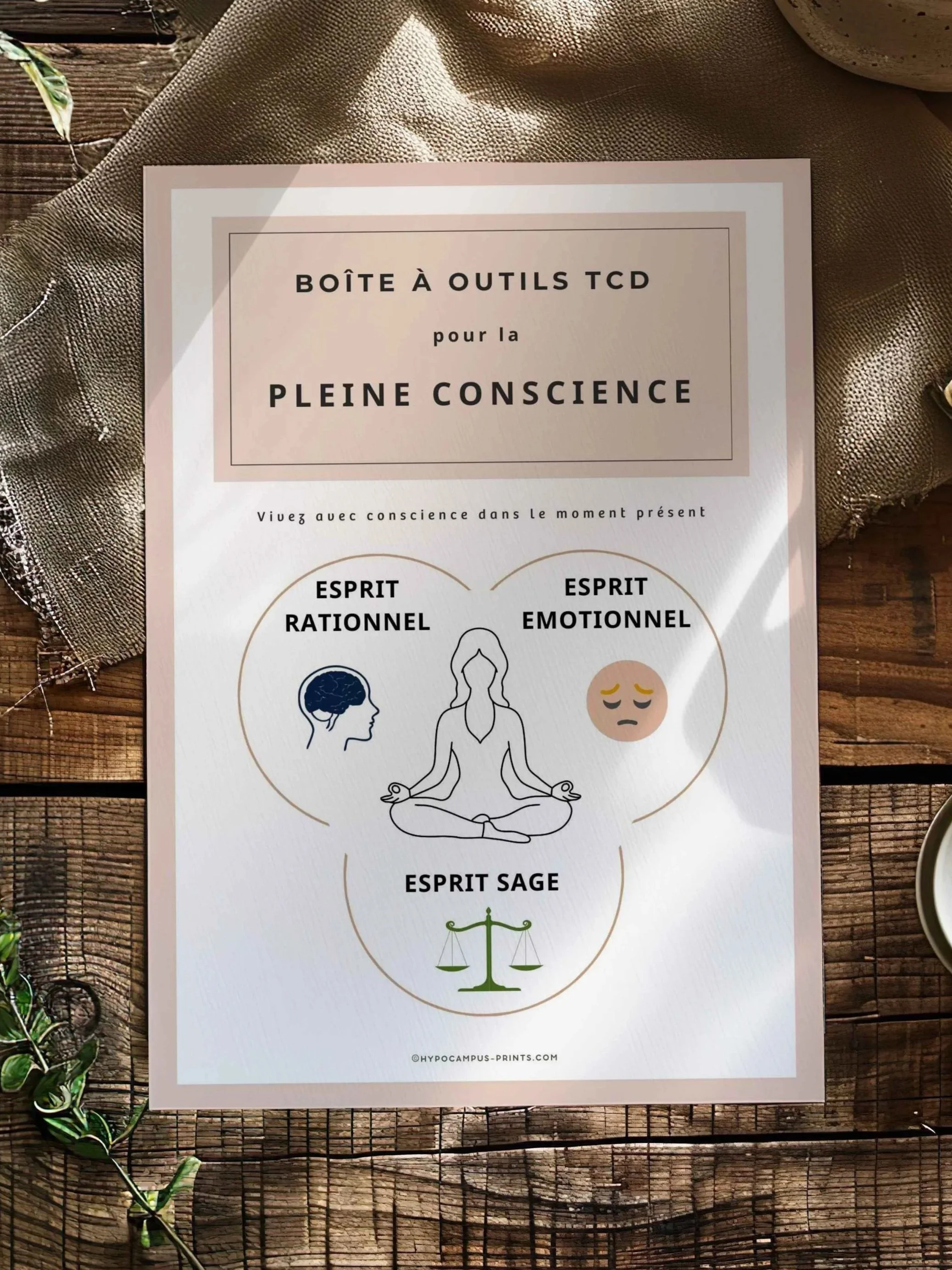 Kit TCD – Mindfulness & régulation émotionnelle