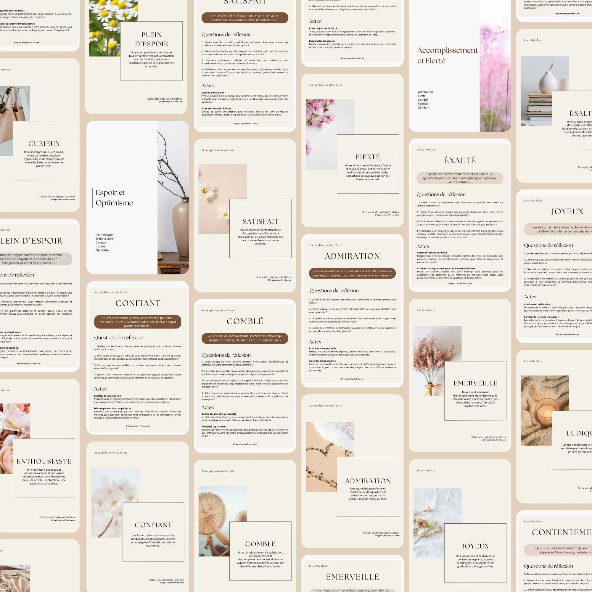 le-guide-des-emotions-positives-10.jpg.jpg