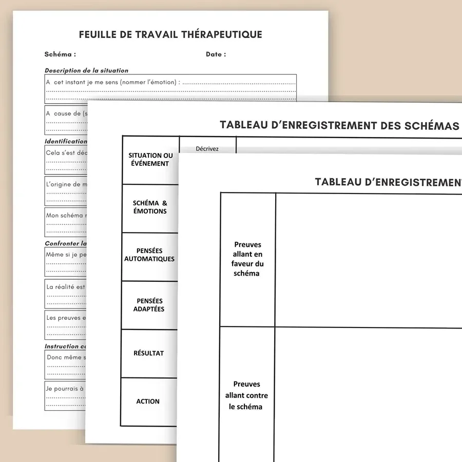 therapie_des_schemas_outil_psy_pdf_04.webp