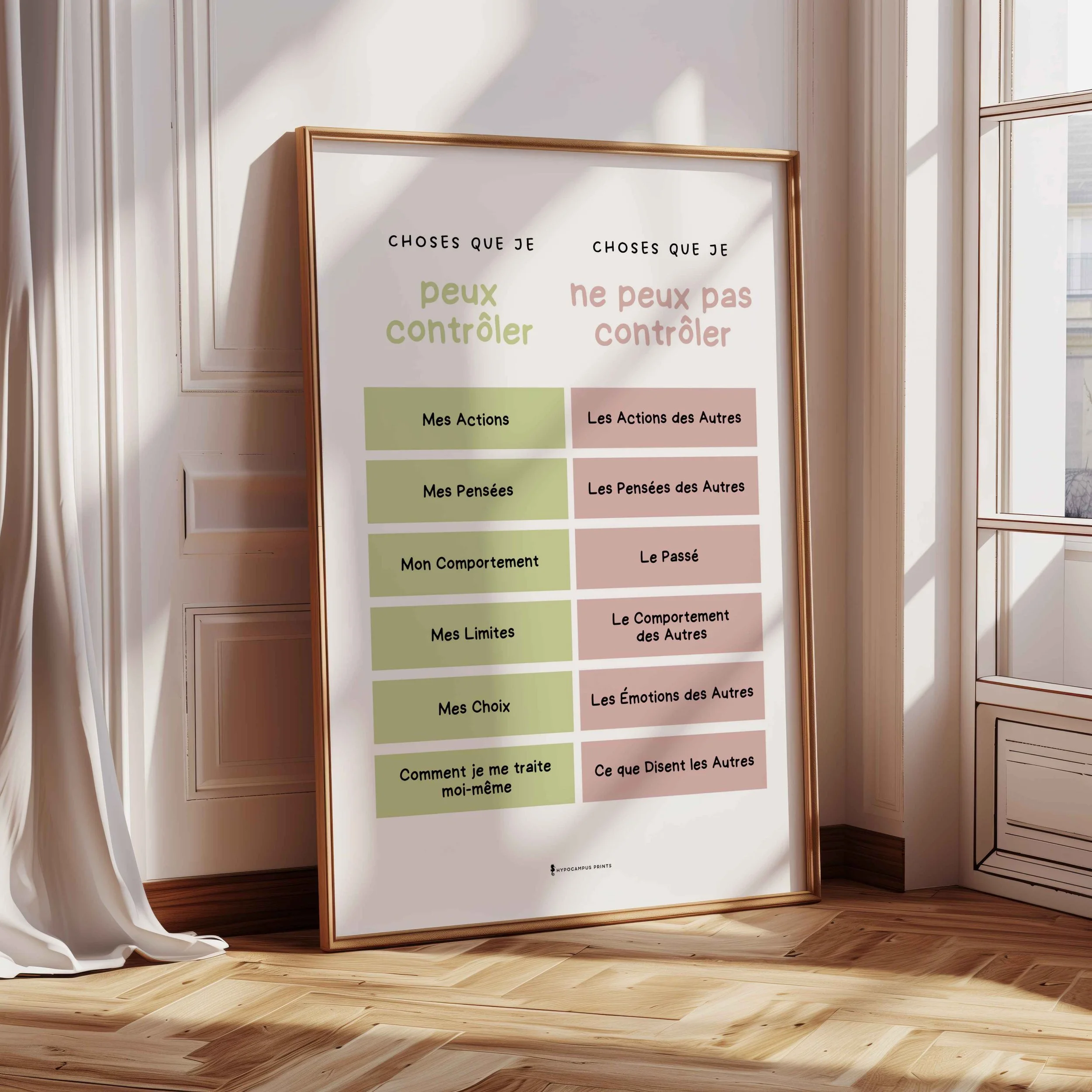 affiche-choses-que-je-peux-et-que-je-ne-peux-pas-modifier-15.jpg.jpg