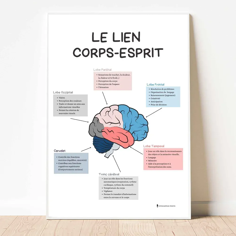affiche-connexion-corps-esprit-pdf-somatisation-02.webp