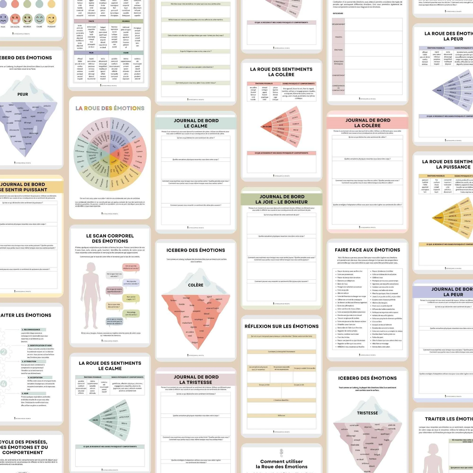 cahier-d-exercices-la-roue-des-emotions2.jpg.jpg