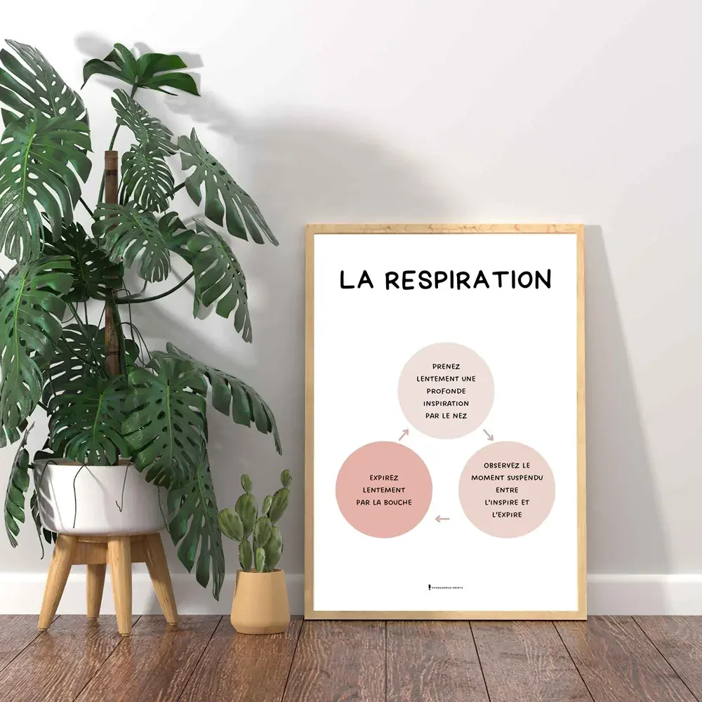 affiche-respiration-abdominale-pdf-psychoeducation-03.webp