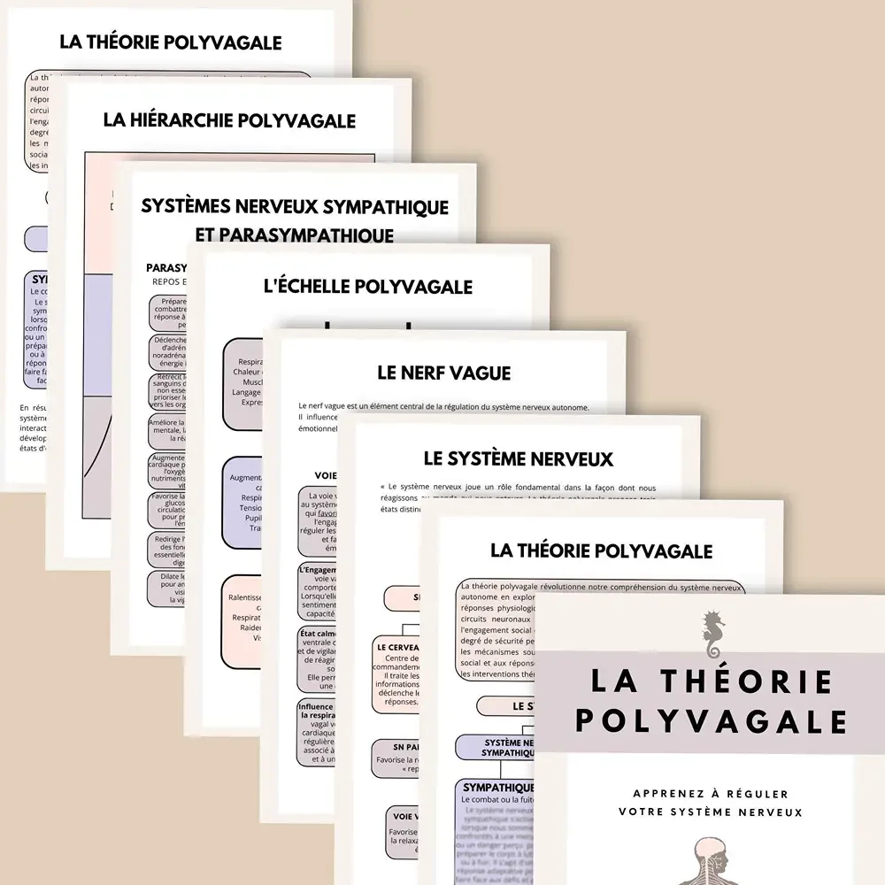 theorie_polyvagale_developpement_personnel_pdf_05.webp