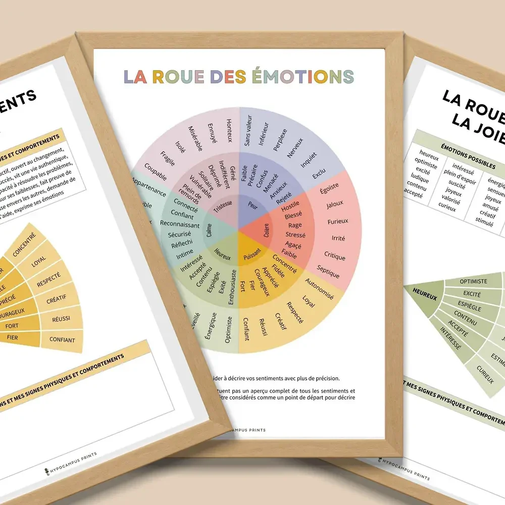 exercices-roue_des_emotions_pdf_06.webp