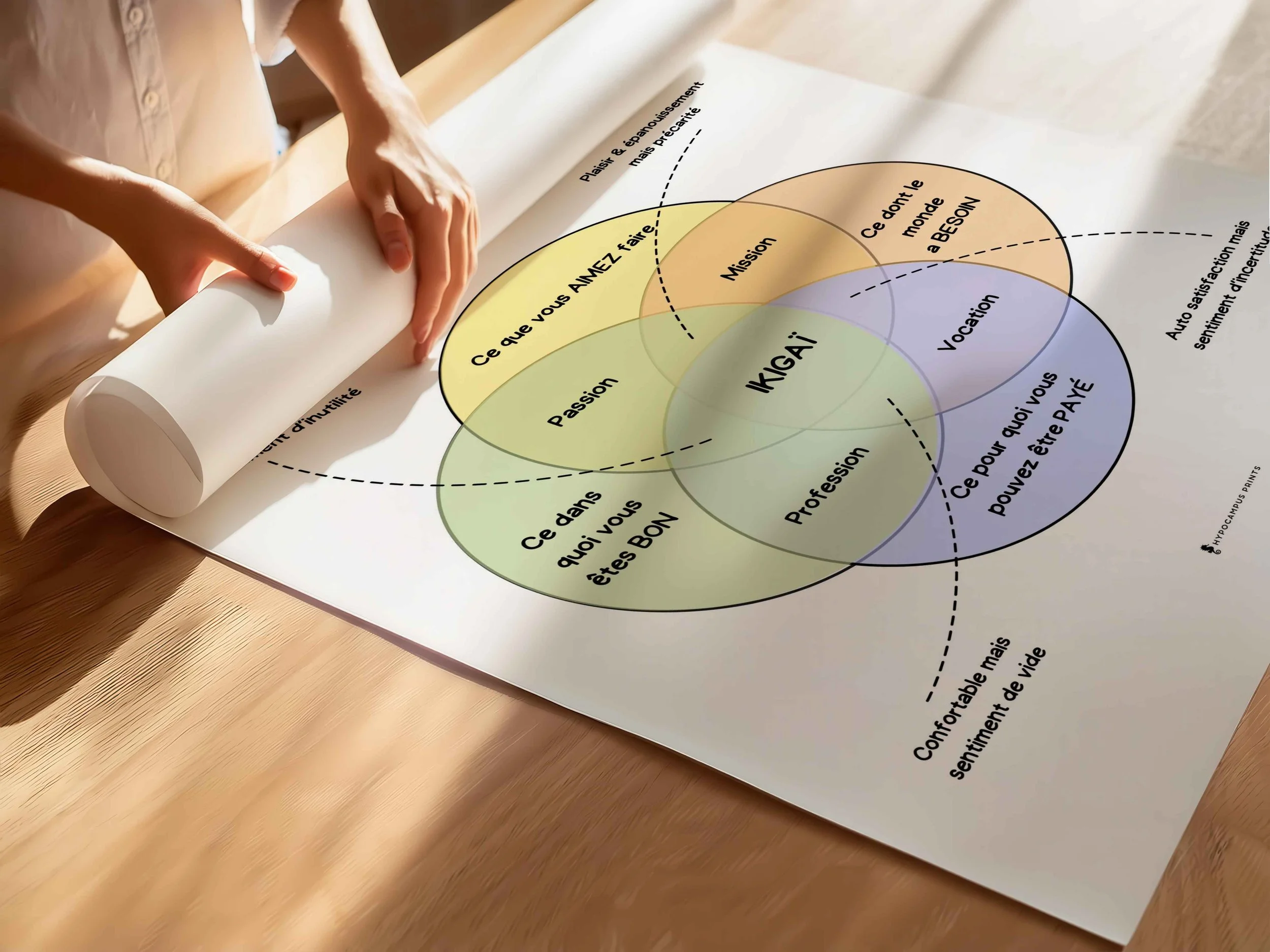 affiche-sur-la-methode-ikigai-8.jpg.jpg
