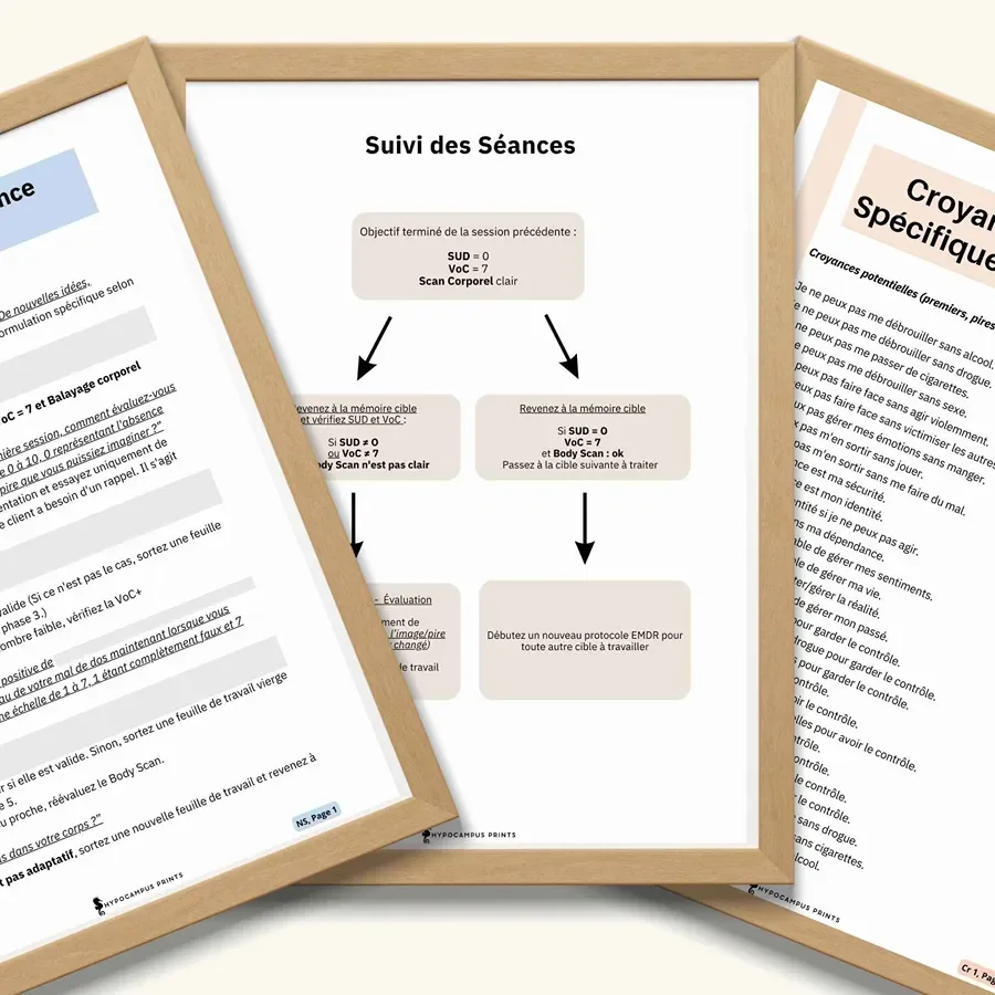 Outils_psy_trauma_EMDR_pdf_05.webp