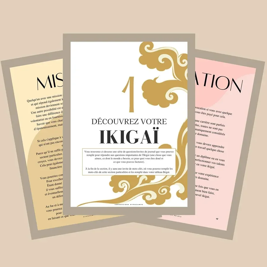 Trouver_son_ikigai_exercices_pdf_09.webp
