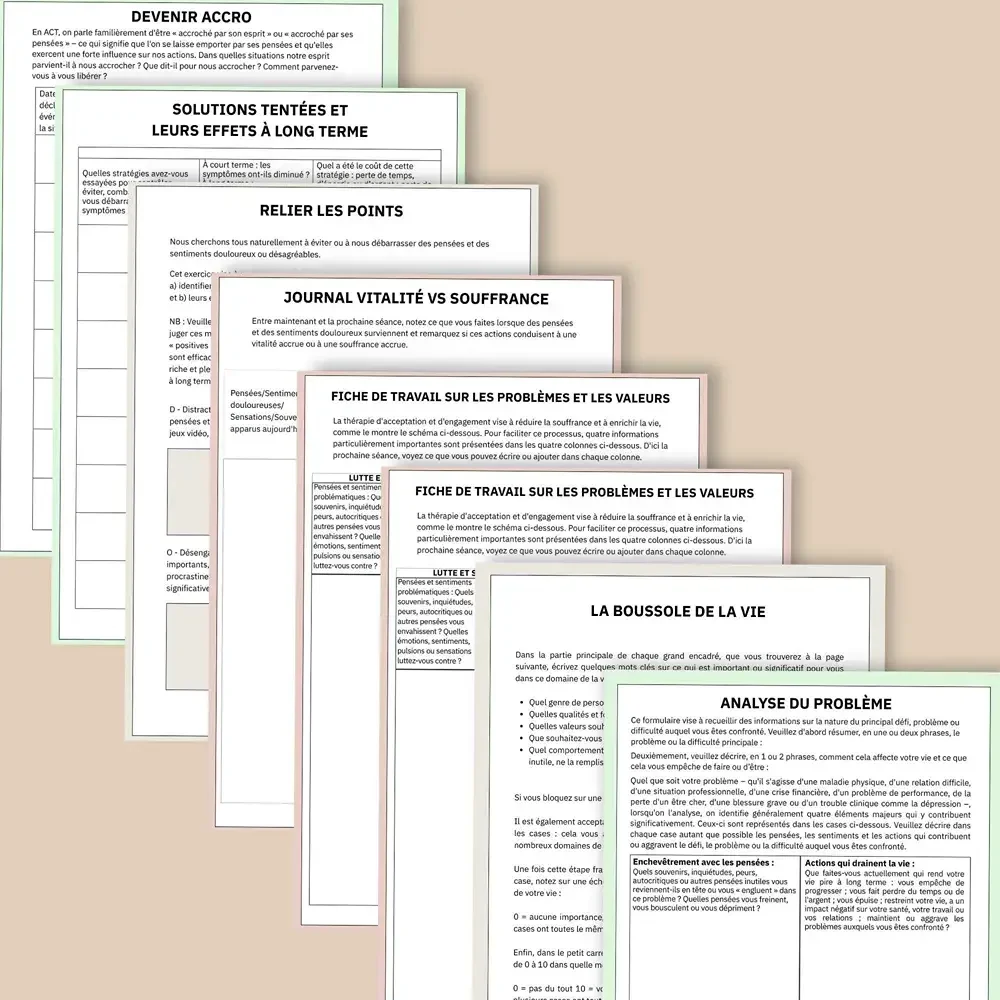 ACT_evaluation_et_clarification_des_valeurs_pdf_06.webp