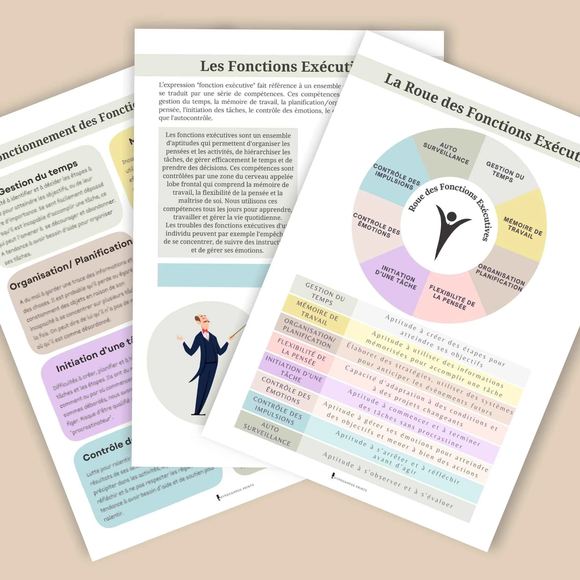 la-roue-des-fonctions-executives4.jpg.jpg