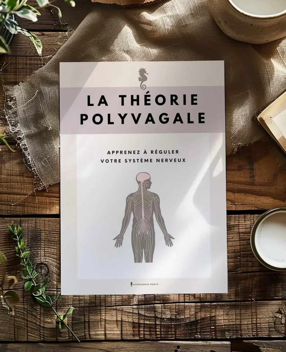 La Théorie Polyvagale