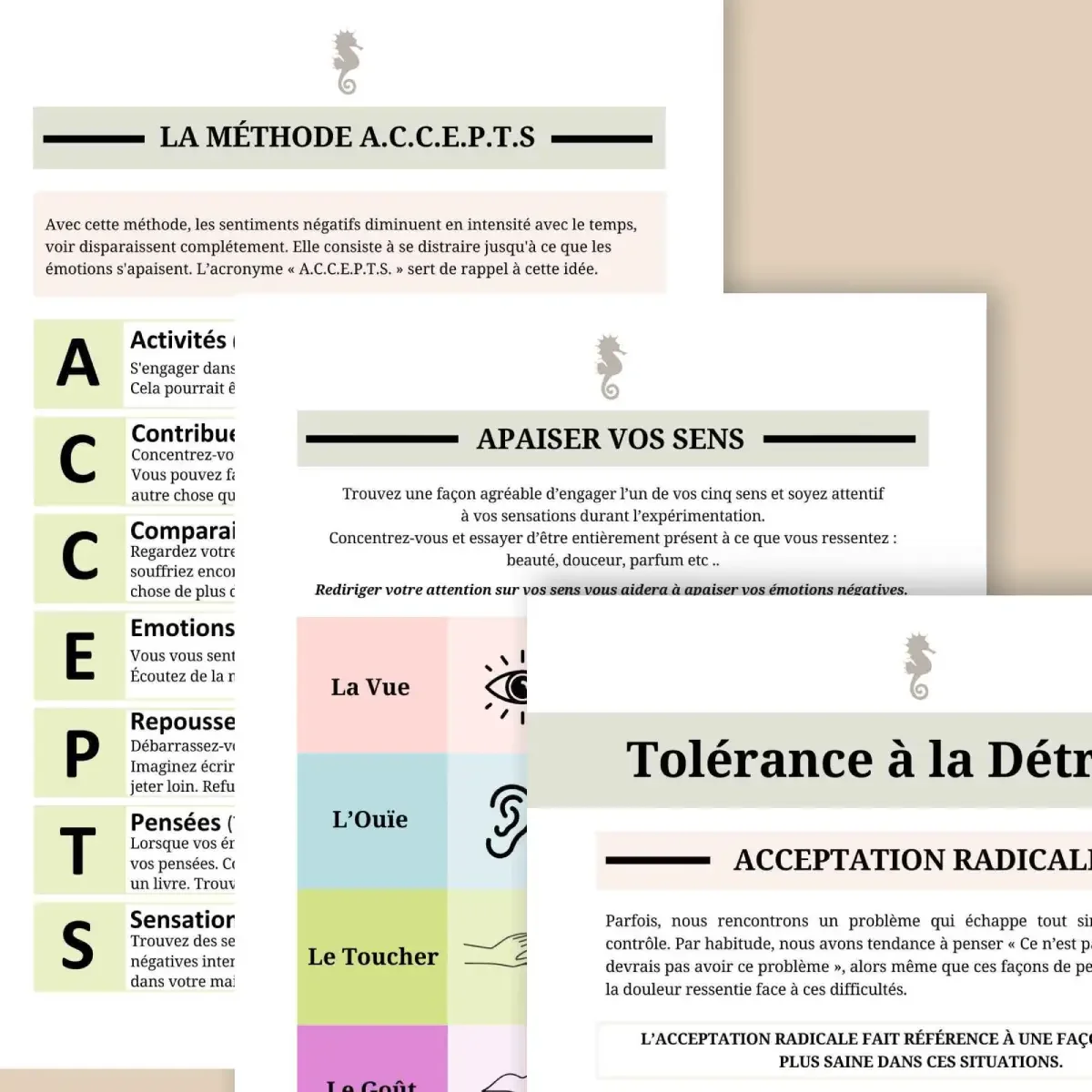 Outil psy Tolérance à la détresse - 3.webp